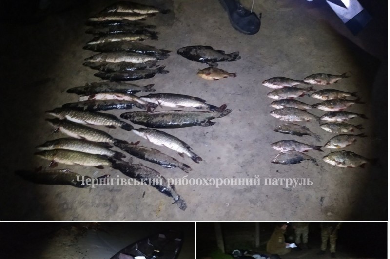 Браконьєра з Чернігова затримали з 10 кг риби