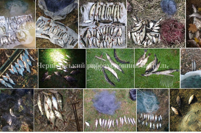 Чернігівським рибоохоронним патрулем протягом жовтня зафіксовано 153 порушення Правил рибальства