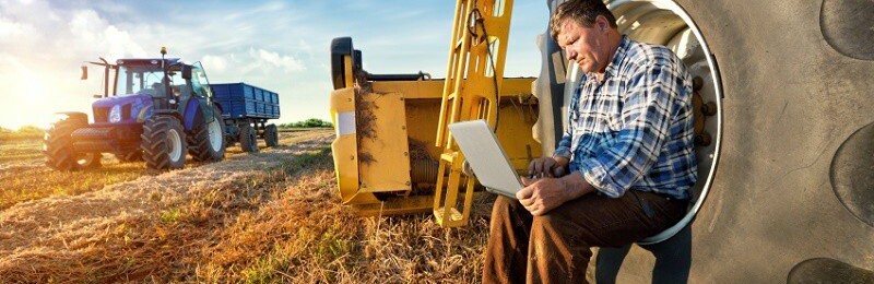 Чернігівщина серед лідерів українського аграрного сектору. Над покращенням позицій працюють більше 2000 компаній