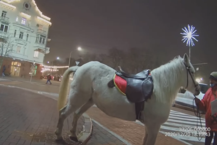 На власників коня, який катає на Красній площі, складено адмінпротокол (Відео)