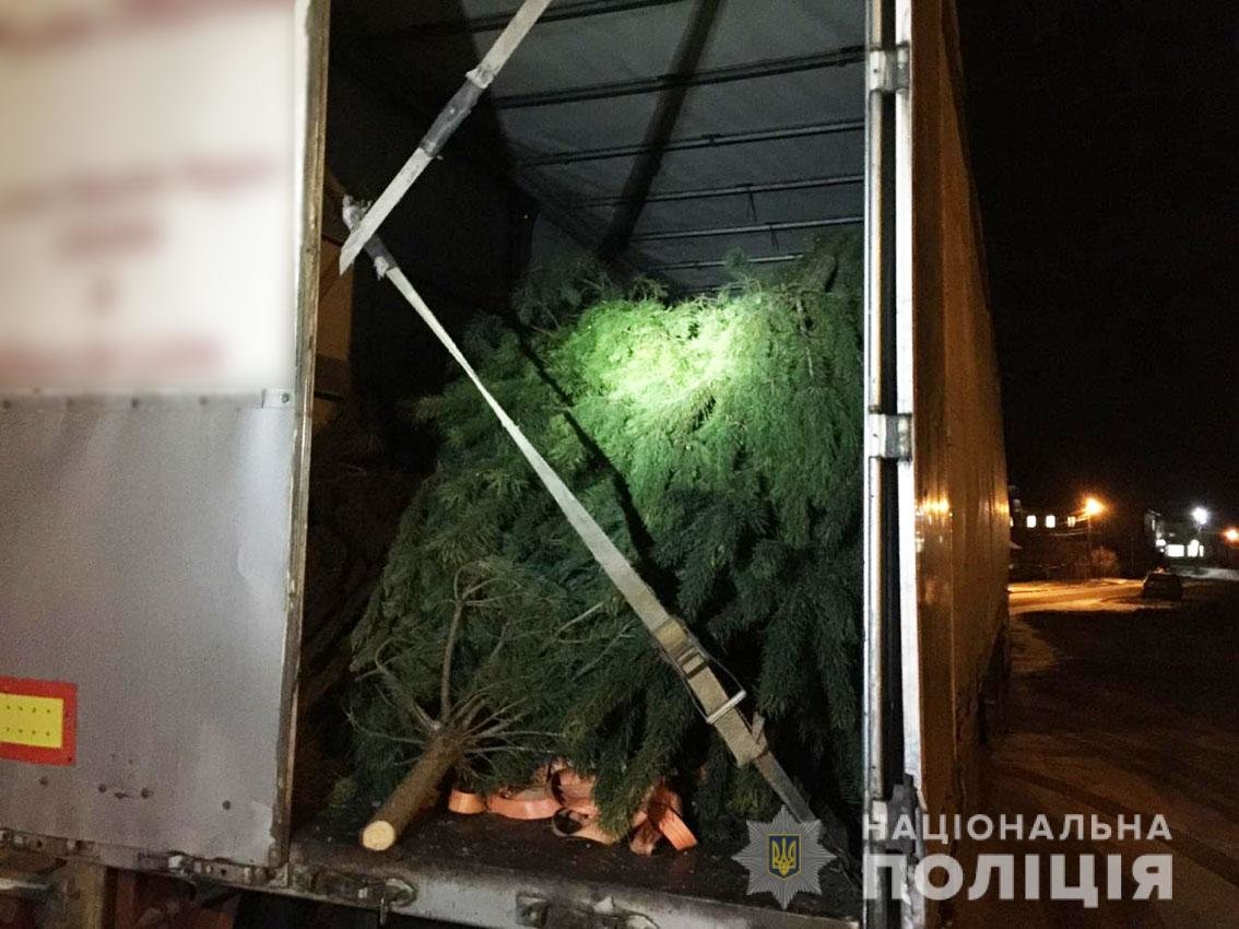 Півтисячі незаконно зрубаних сосон знайшли у вантажівці на Чернігівщині