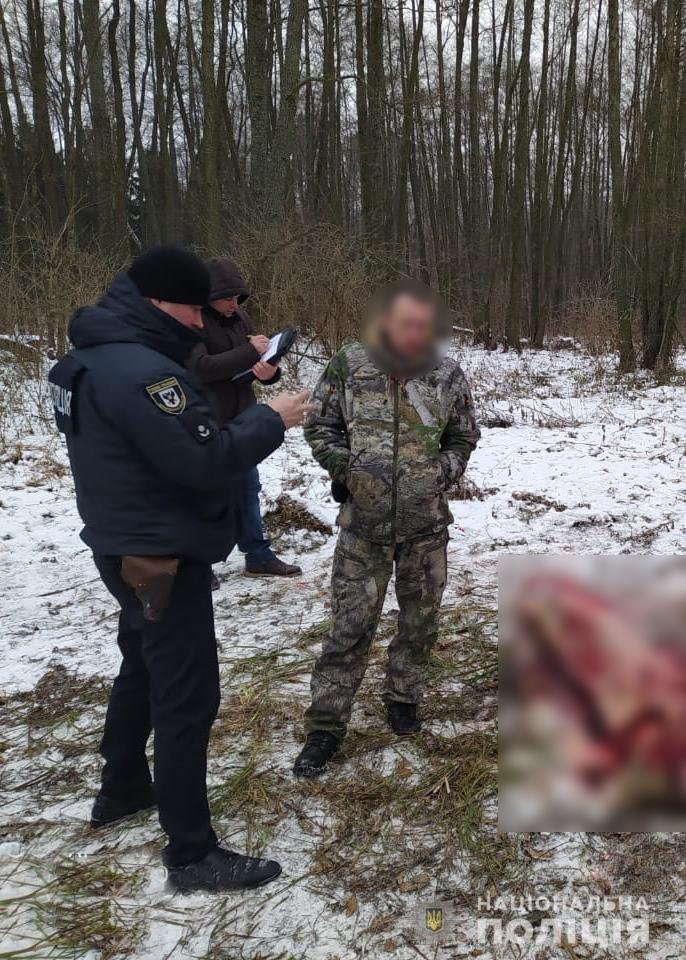 Вже обвалював м’ясо: вбивцю червонокнижної лосихи затримали на Чернігівщині