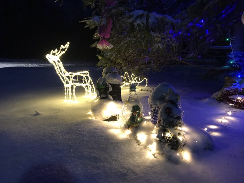 Новорічна феєрія в Кучинівці: лісова красуня, різдвяний олень та святкова експозиція (Фото)