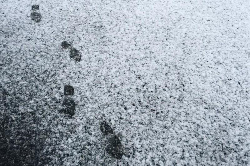 Мокрий сніг та ожеледиця: чернігівські синоптики розказали про погоду на початку тижня
