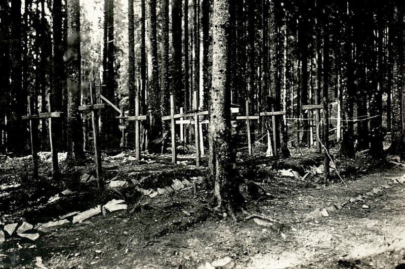 Могили серед лісу: на Ічнянщині хочуть відновити історичну справедливість
