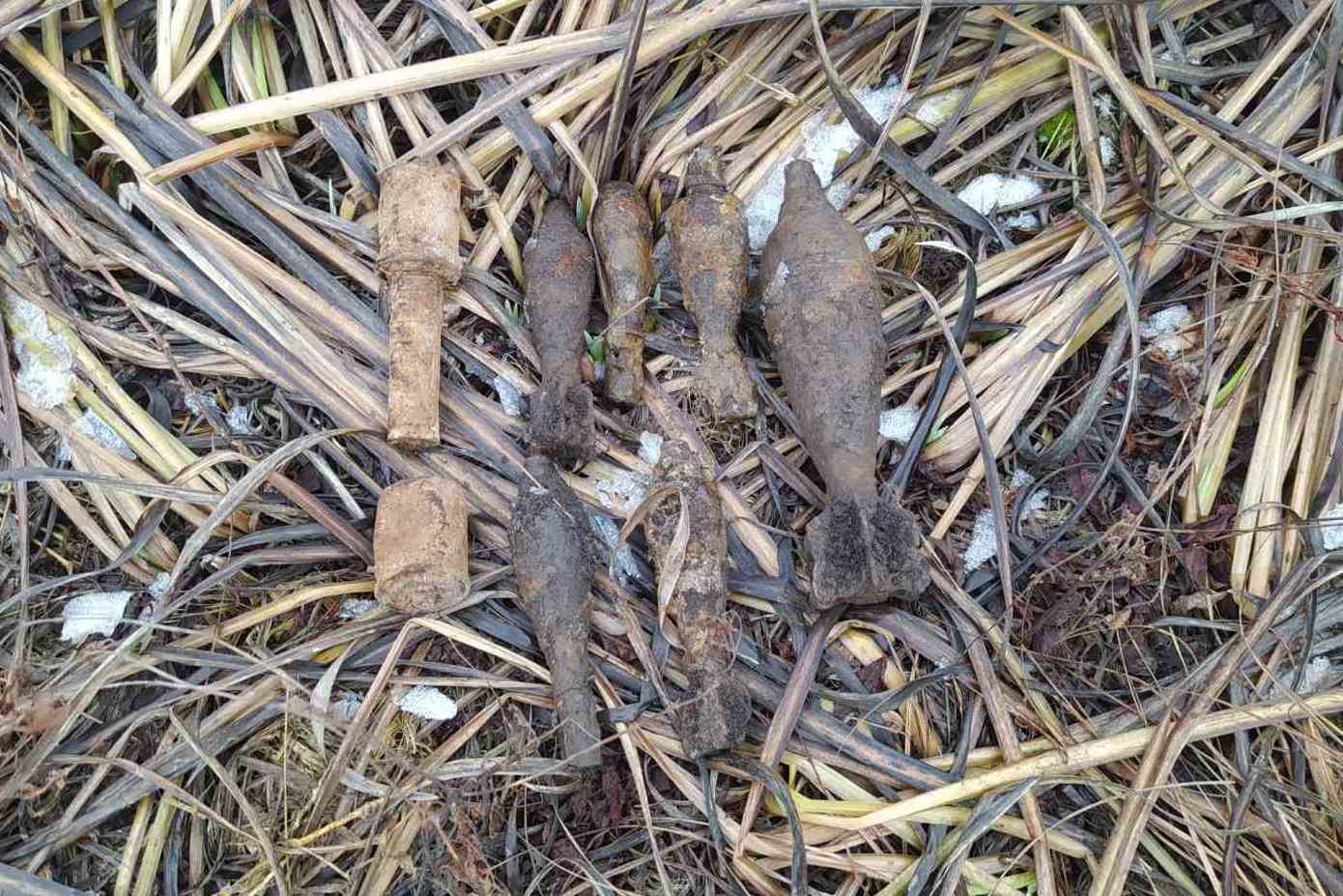 Небезпечні підсніжники: у лісі на Чернігівщині знайшли вибухівку