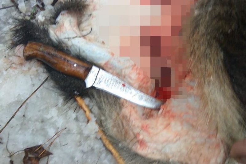 На Чернігівщині затримали браконьєра-вершника та двох його спільників