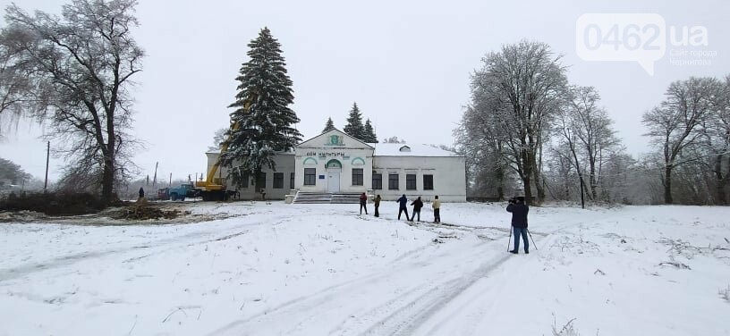 Яка ялинка у Чернігівській області найкраща?