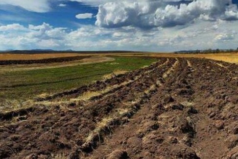 Громадам Чернігівщини передали землі сільськогосподарського призначення: що це означає