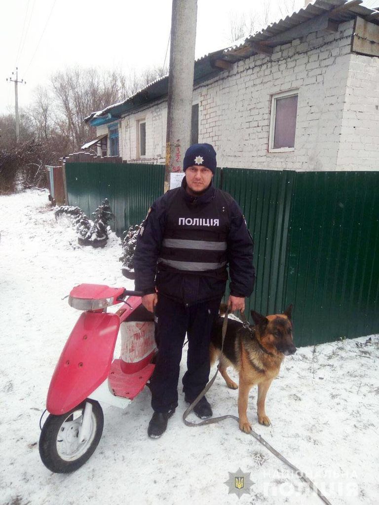 Службовий собака допоміг знайти викрадений у Чернігові скутер