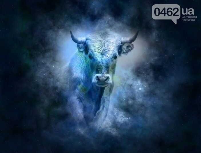 Білий Бик уже на порозі: чого очікувати у 2021 році чернігівцям всіх знаків зодіаку