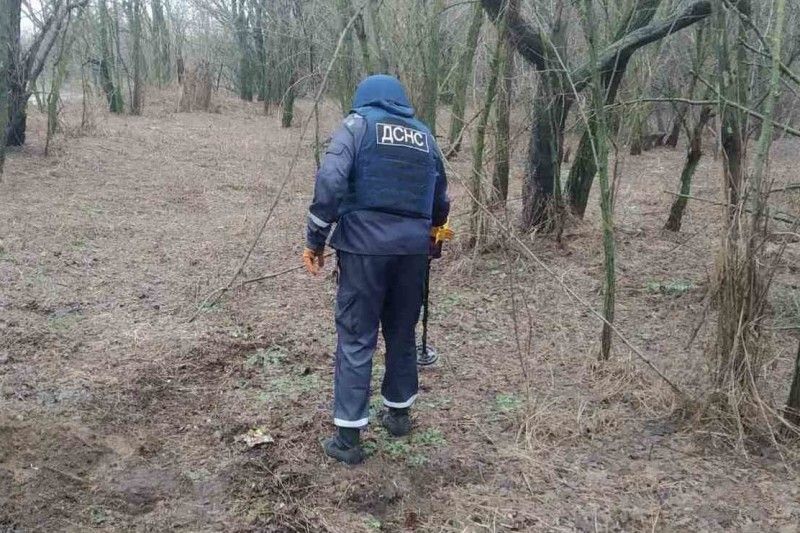 На Чернігівщині піротехніки ДСНС знищили ручну гранату Ф-1