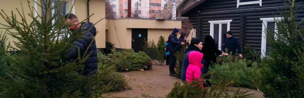 Лісгоспи Чернігівщини продали 24 тисячі новорічних дерев на майже 2 млн грн