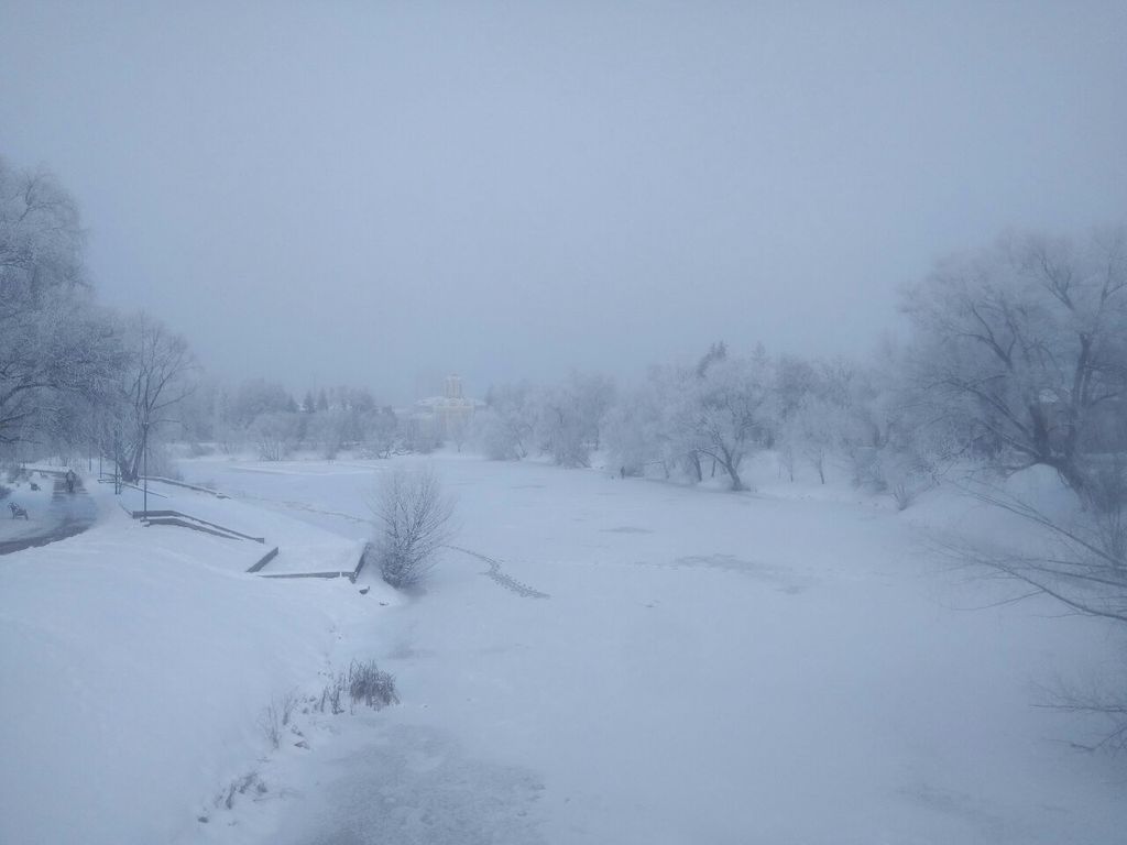 Мороз і туман: рідкісне для Чернігова природнє явище зовсім не дивина