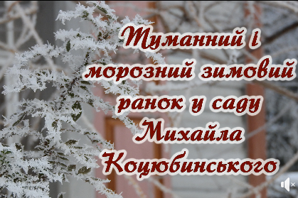 Неймовірна краса зимового саду Михайла Коцюбинського (Відео)