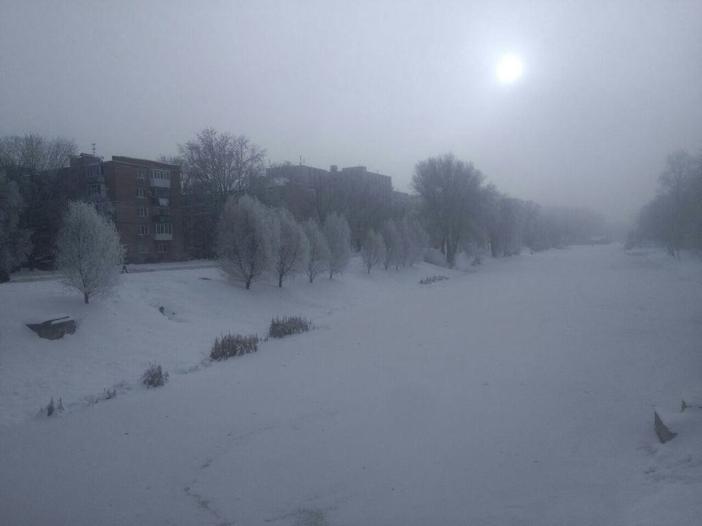 Мороз і туман: рідкісне для Чернігова природнє явище зовсім не дивина