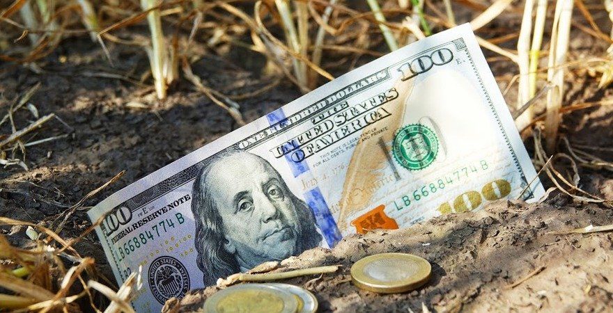 Вартість гектару ріллі на Чернігівщині може сягнути 2 тисяч доларів