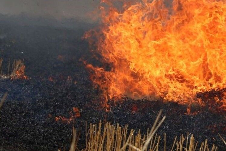 На Чернігівщині спалювання сухої трави призвело до трагедії