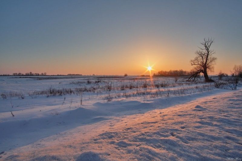 Мільйони на палац спорту, третя хвиля COVID-19 і освіта майбутнього: підсумок новин вівторка
