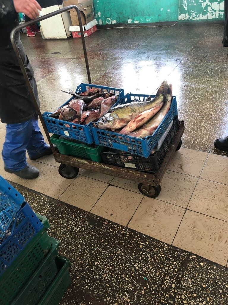 Риба без документів: на Центральному ринку Чернігова горе-рибалці виписали адмінпротокол