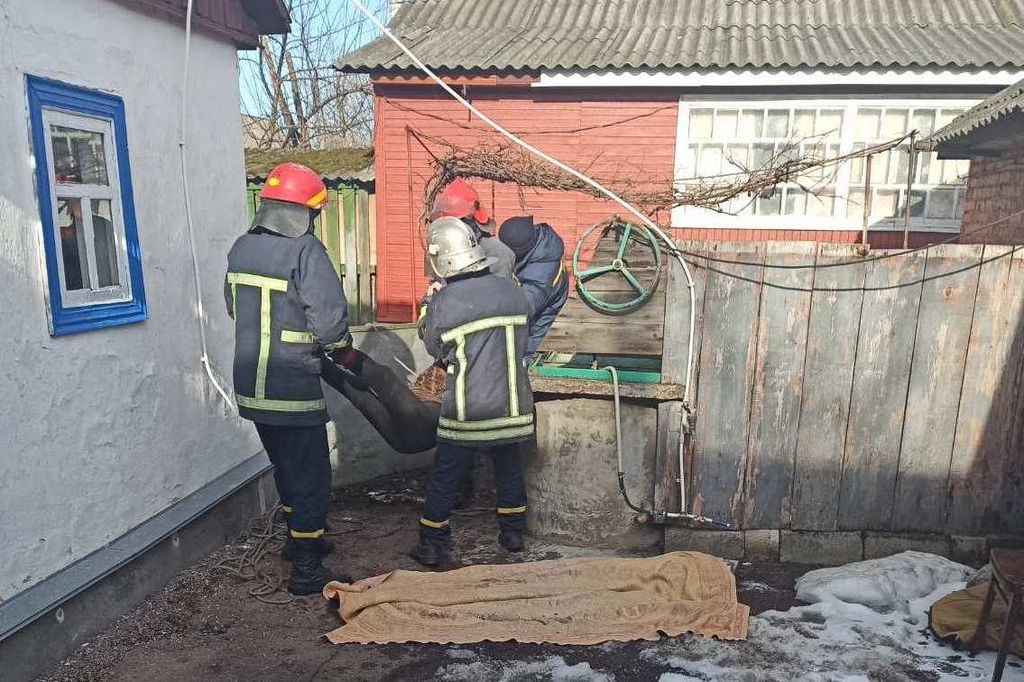 Тіло 81-річної жінки знайшли в колодязі на Чернігівщині