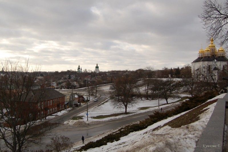 Смертельна ДТП, жорстоке вбивство тварини та пожежа у Чернігові: підсумок дня