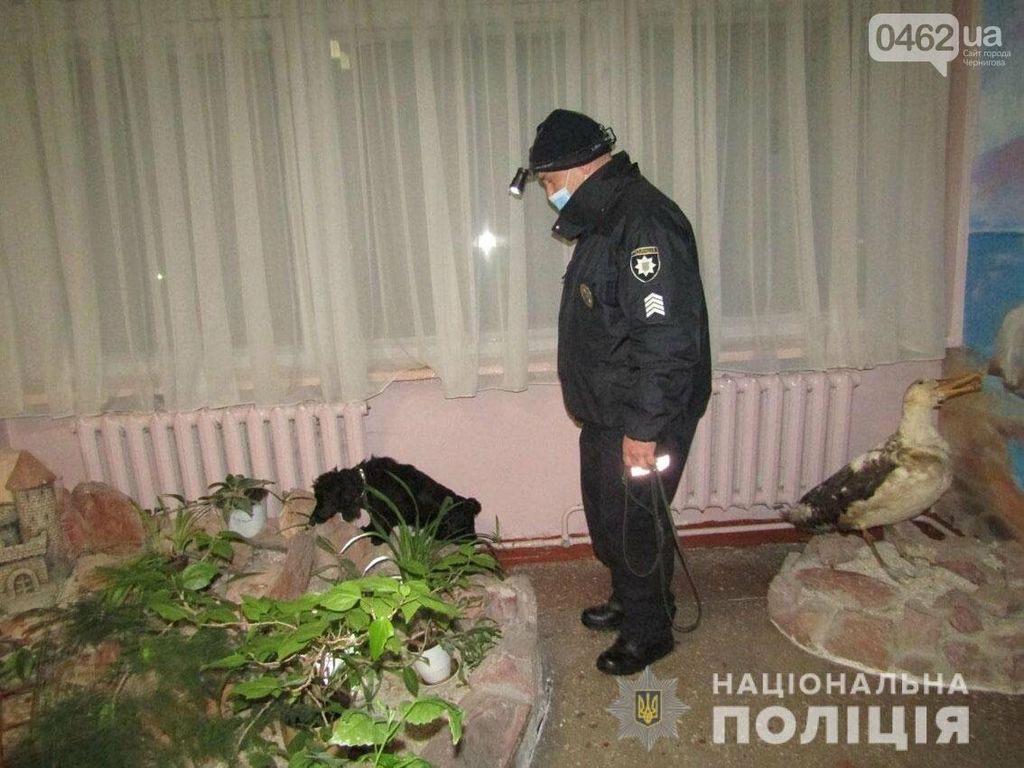 Програла парі і «замінувала» школу в Чернігові. «Терористкою виявилася школярка з Борисполя