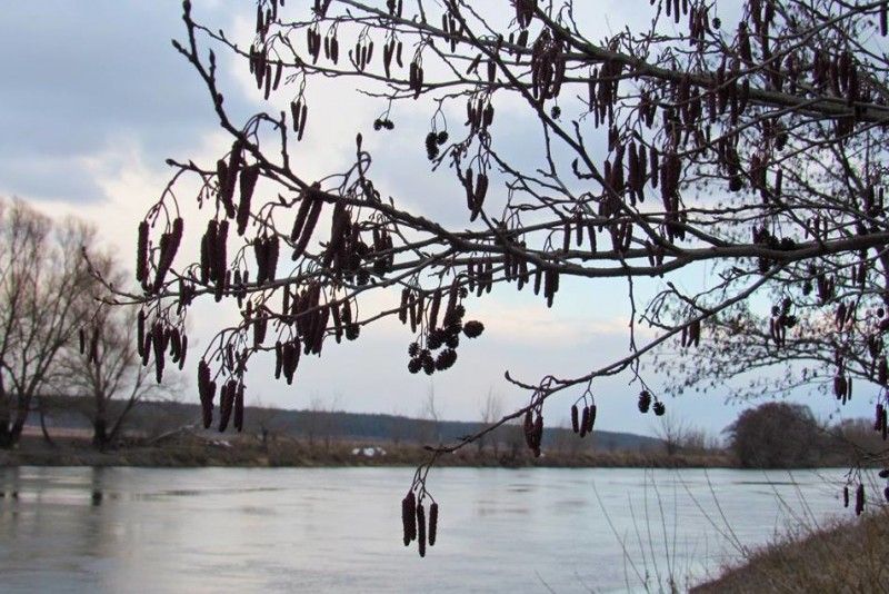 Ситуація з весняним водопіллям у Чернігівській області
