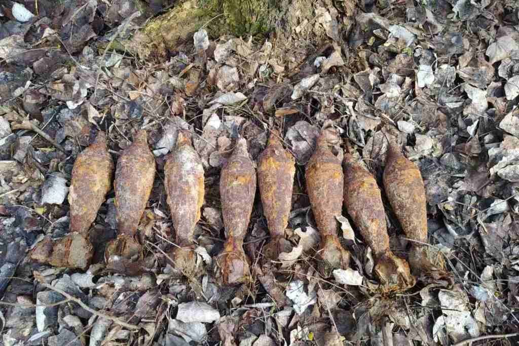 В лісі неподалік Чернігова знайшли арсенал мінометних мін часів Другої світової