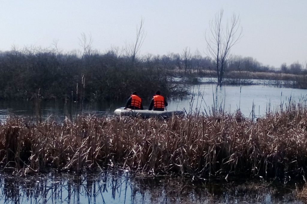 Зникла ще взимку: тіло жінки знайшли у ставку на Чернігівщині
