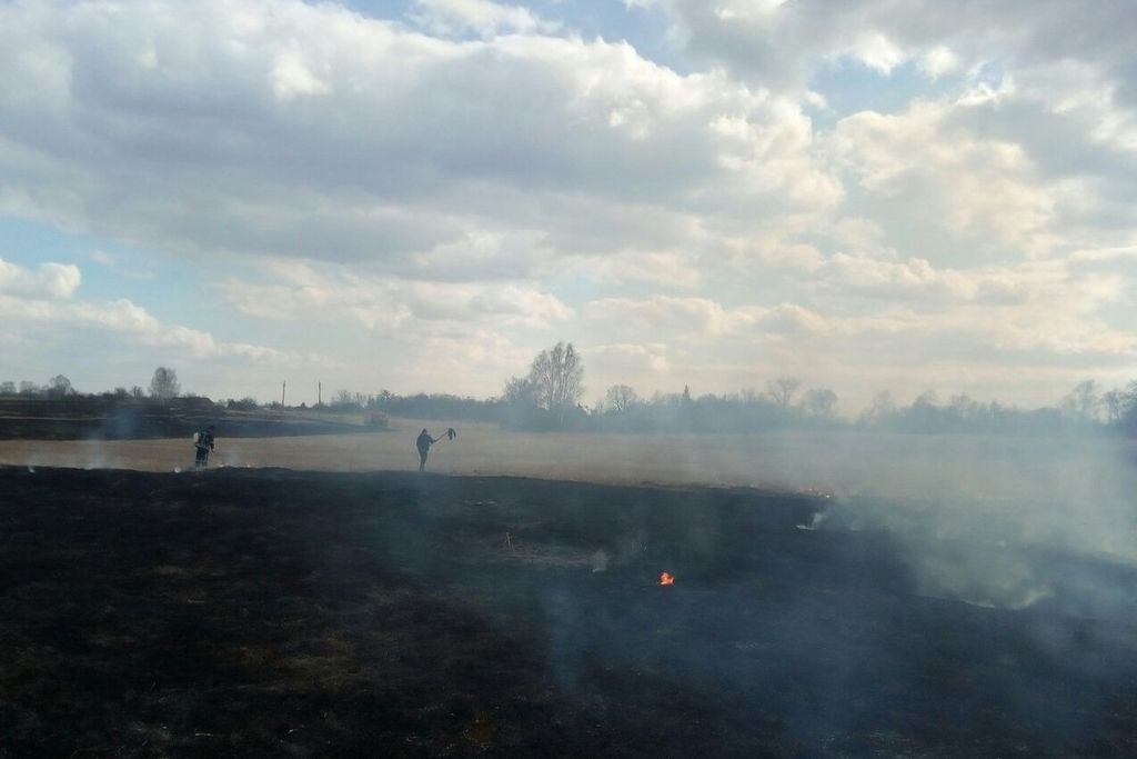 Під час пожежі будинку на Чернігівщині господар отримав опіки ноги