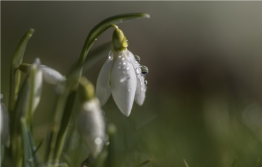 Перша неділя квітня у Чернігові – прогноз погоди