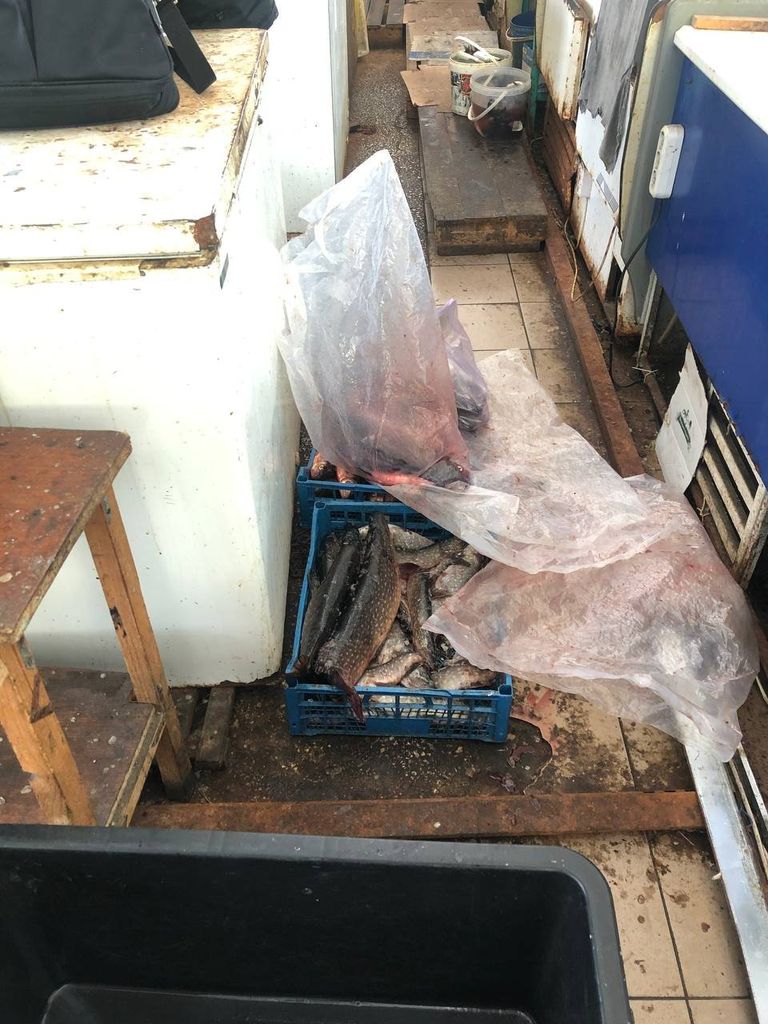 Риба без документів: на Центральному ринку Чернігова горе-рибалці виписали адмінпротокол