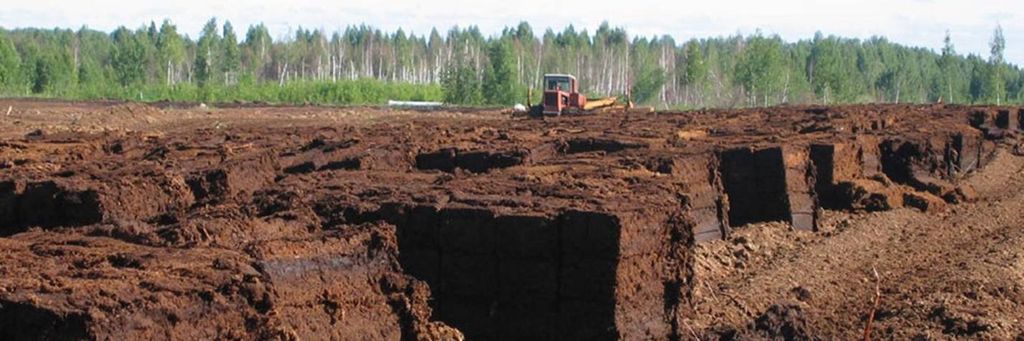 Пристрасті навколо торфозаводу під Черніговом. Поліція та СБУ підозрюють злочин