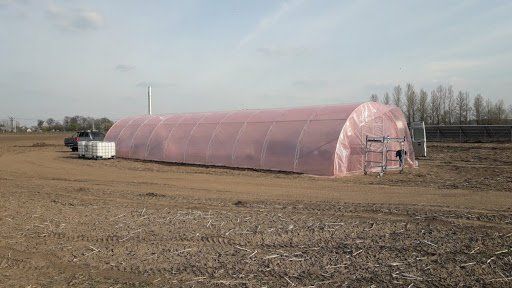 Через сніжну зиму, на Чернігівщині можна очікувати на дефіцит розсади