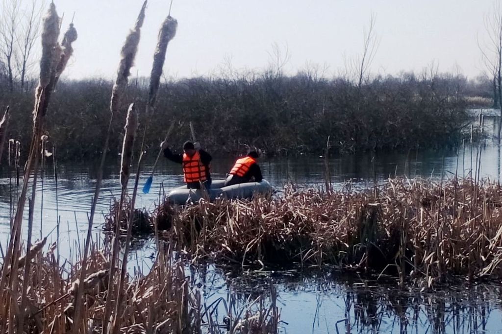 Зникла ще взимку: тіло жінки знайшли у ставку на Чернігівщині