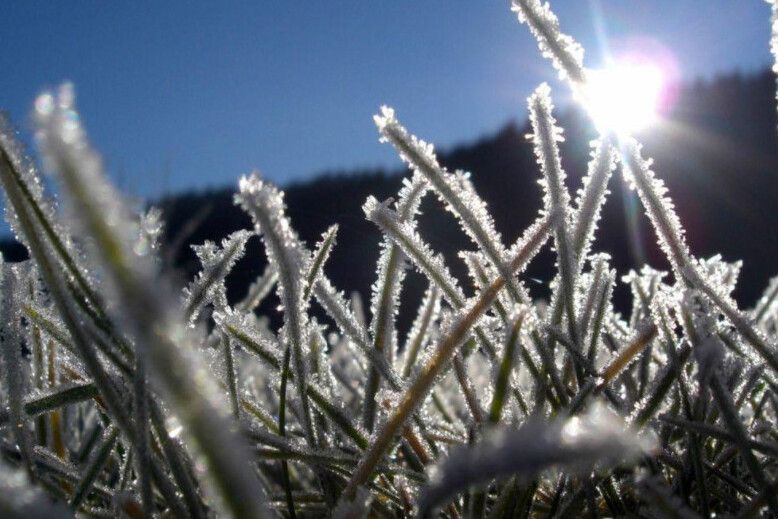 Уночі на Чернігівщині синоптики обіцяють до 7 градусів морозу