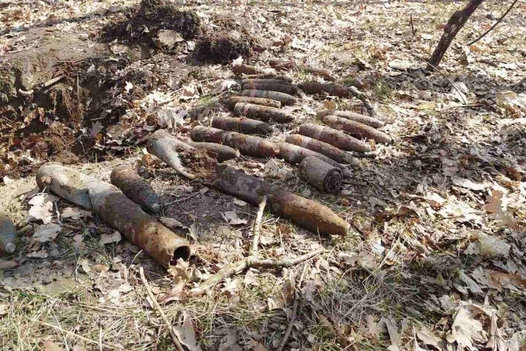 Небезпечна здобич: арсенал боєприпасів знайшли чорні археологи в лісі на Чернігівщині