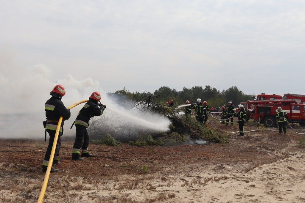 Лісівники, армійці та рятувальники Чернігівщини вчилися гасити пожежі разом