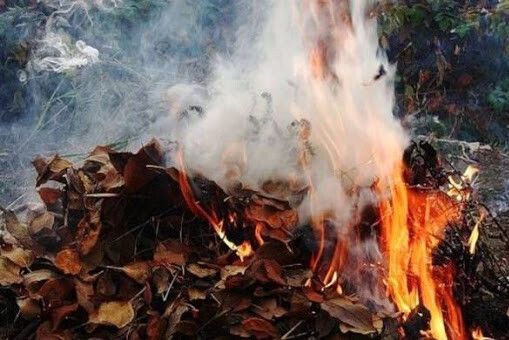 У Чернігові активніше штрафуватимуть за спалювання листя