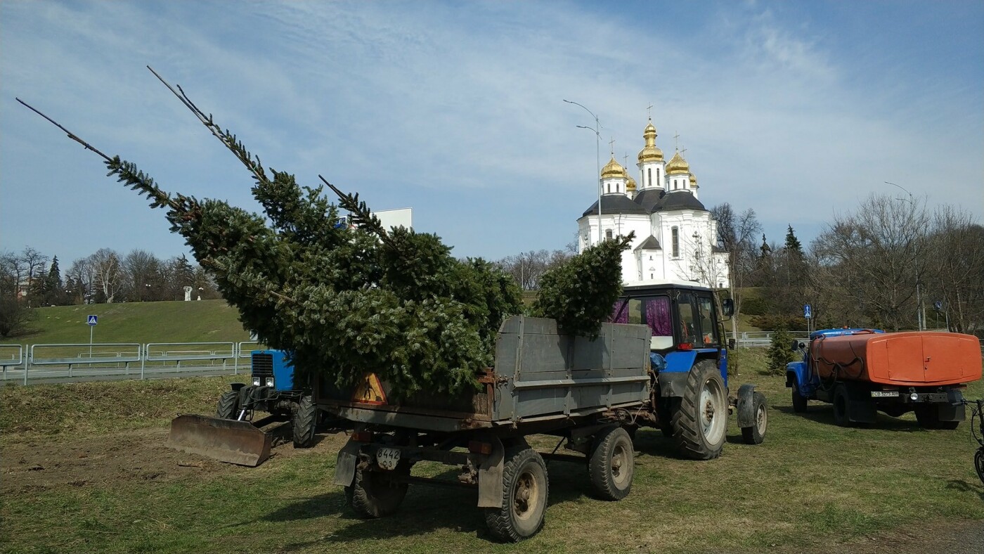 На в’їзді до Чернігова, неподалік Катерининської церкви, висадили 7 ялинок