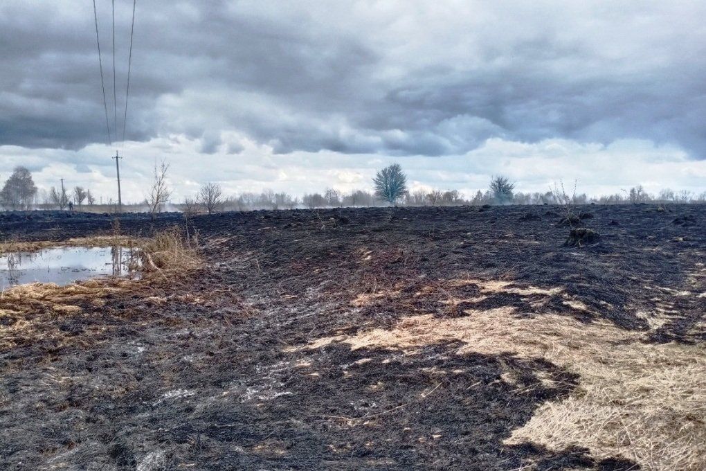 Через людську необачність на Чернігівщині продовжують вигорати поля