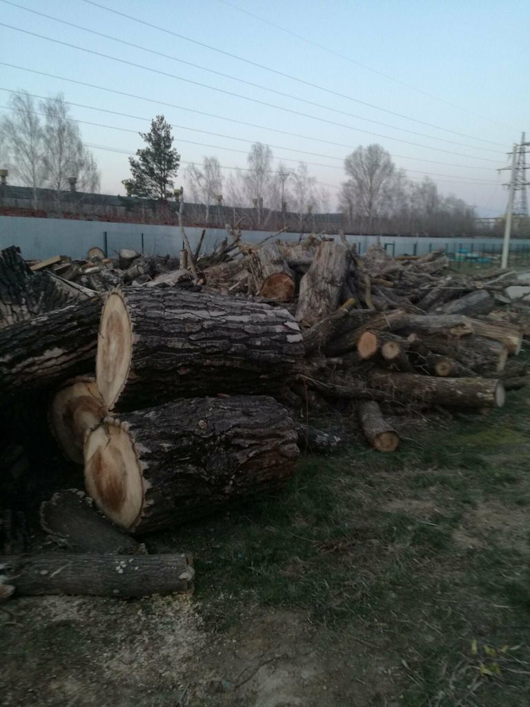 Потрібно рубати дрова: «Крок до тварин» у Чернігові просить про допомогу