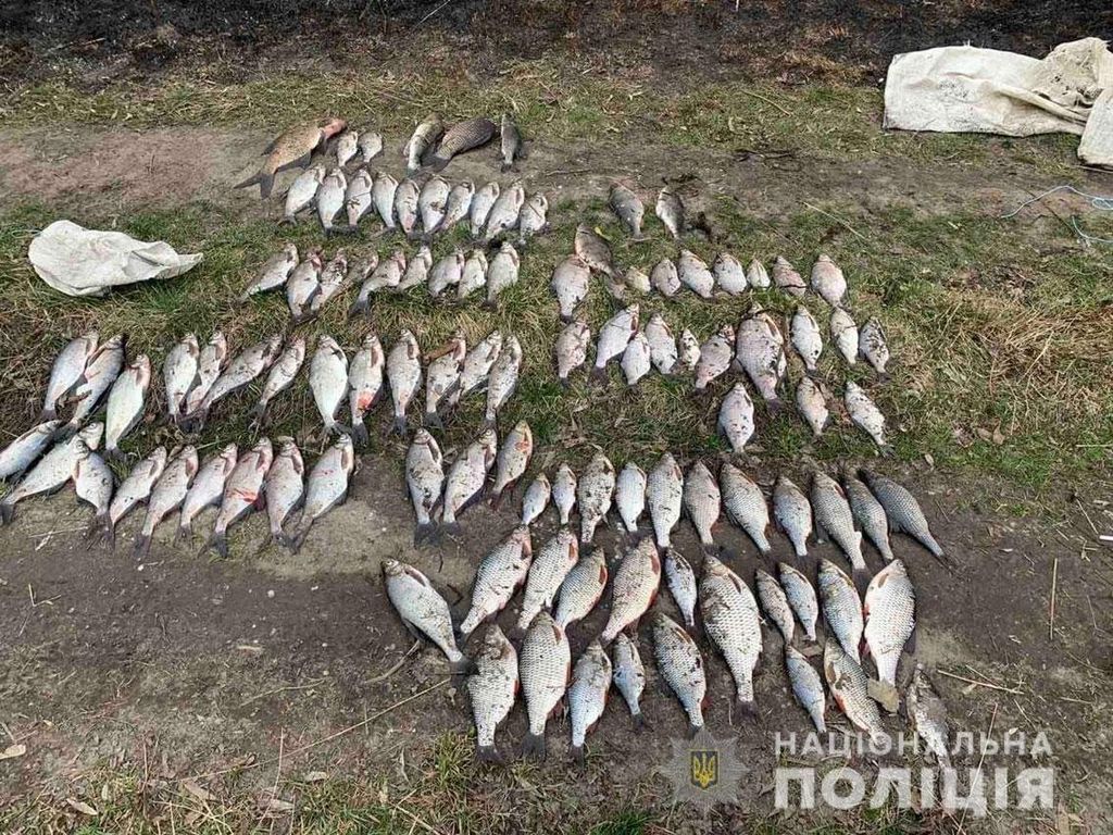 Ловив рибу сіткою: на Чернігівщині спіймали браконьєра
