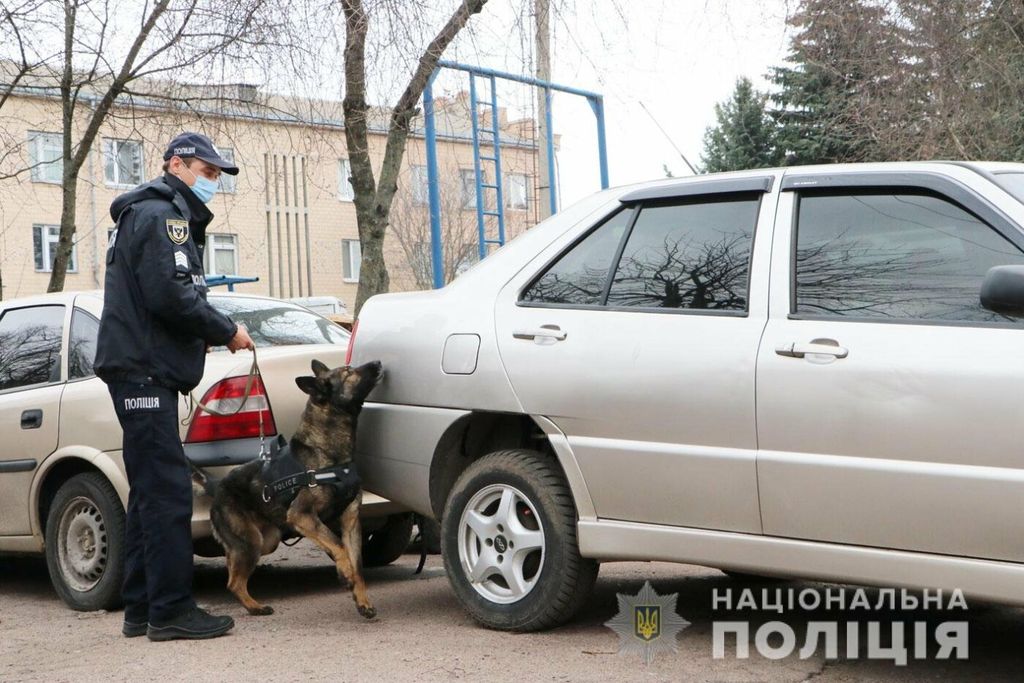 Чекати треба буде менше: в кожному районі Чернігівщині з’явиться кінологічна служба