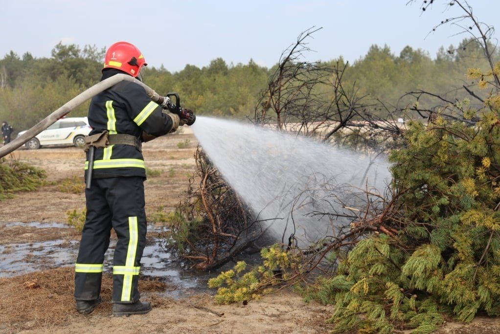 Чернігівські вогнеборці за минулий тиждень ліквідували більше 30 пожеж