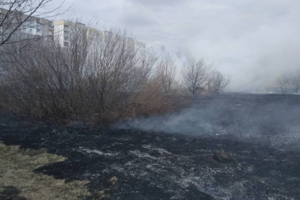Вигорів ущент: у Чернігові пожежа знищила дачний будиночок