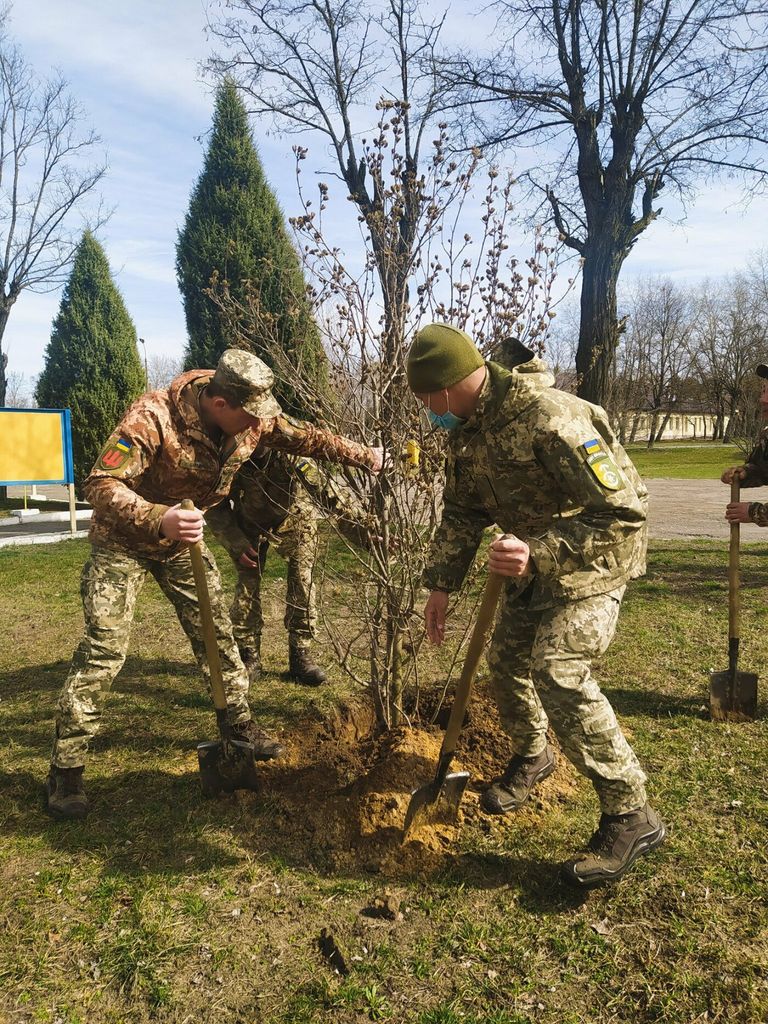 Дерева та кущі почали саджати армійці в одній з військових частин Чернігівщини