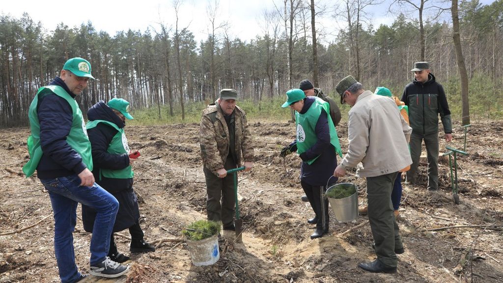 Майже 150 000 дерев висадили на Чернігівщині