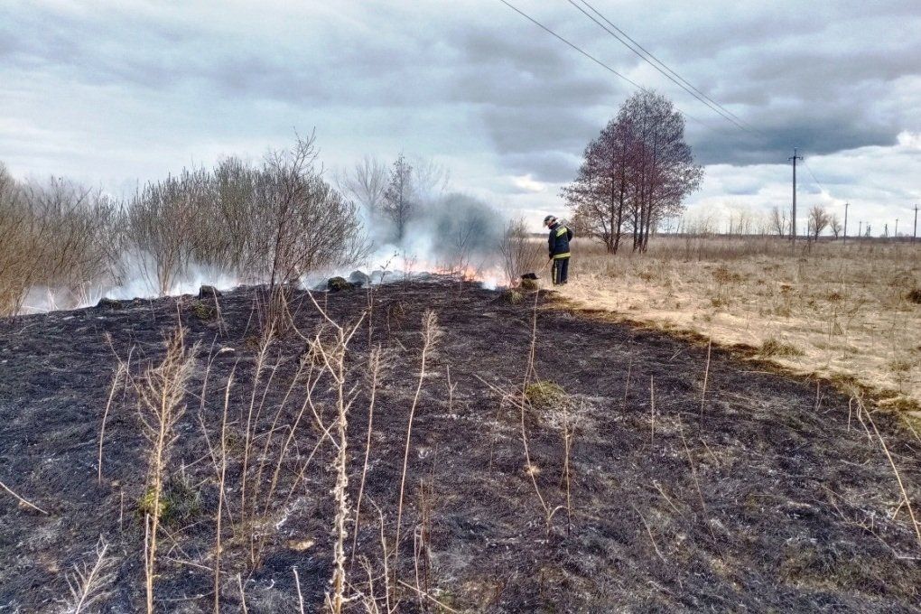 Через людську необачність на Чернігівщині продовжують вигорати поля